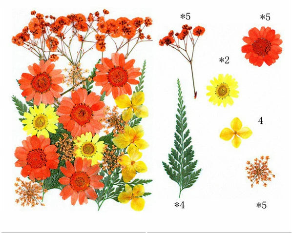 25 In 1 Pressed Flower