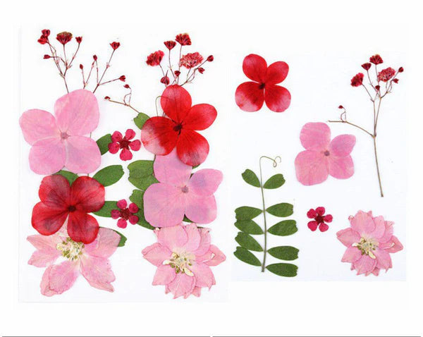 12 In 1 Pressed Flower