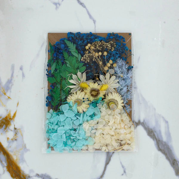 Dried Mixed Flower Blue