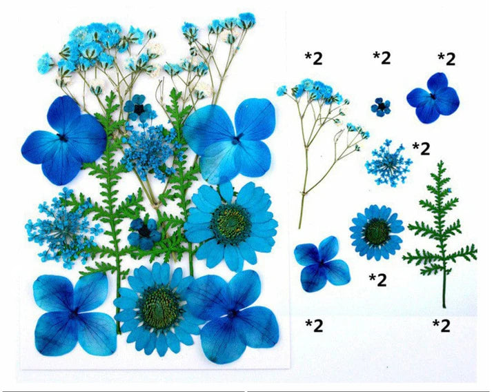14 In 1 Pressed Flowers Fl033