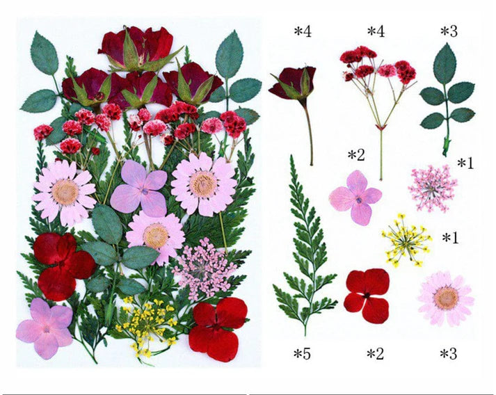 25 In 1 Pressed Flowers Fl074