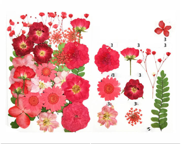 29 In 1 Pressed Flowers Fl091