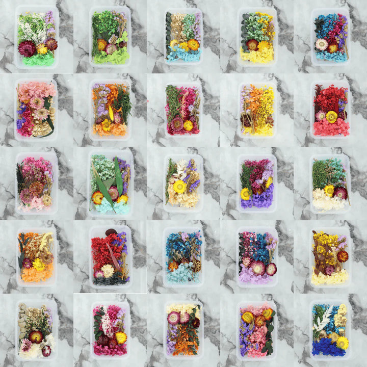 Dry Flower Box - Random Color