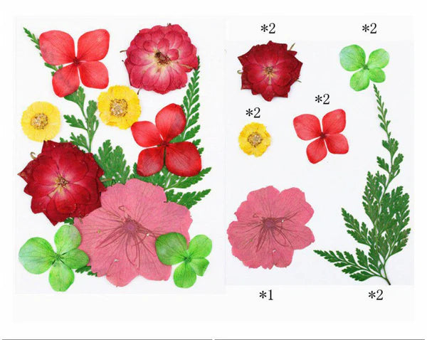 11 In 1 Pressed Flowers