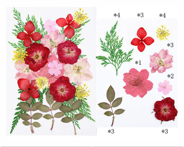 23 In 1 Pressed Flowers