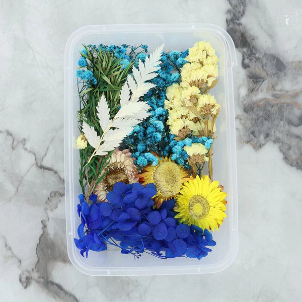 Dry Flower Box - Random Color