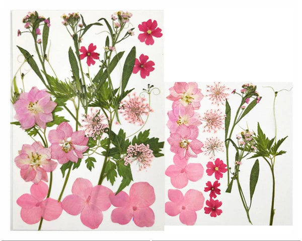 18 In 1 Pressed Flower