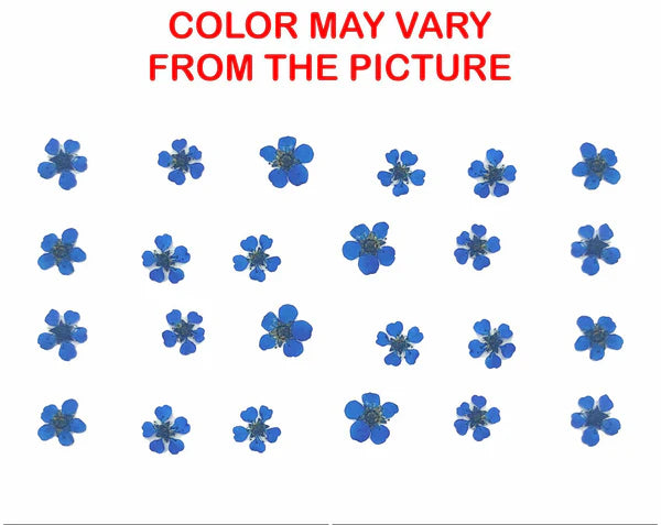 Baby Breath Dry Flower Box