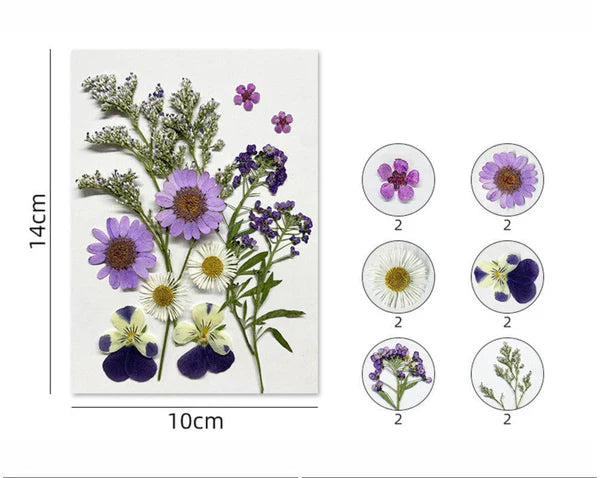 12 IN 1 Pressed Flower