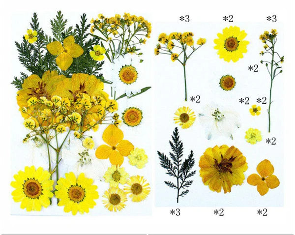 21 In 1 Pressed Flower