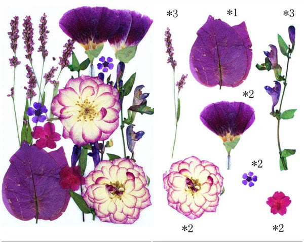15 IN 1 Pressed Flower