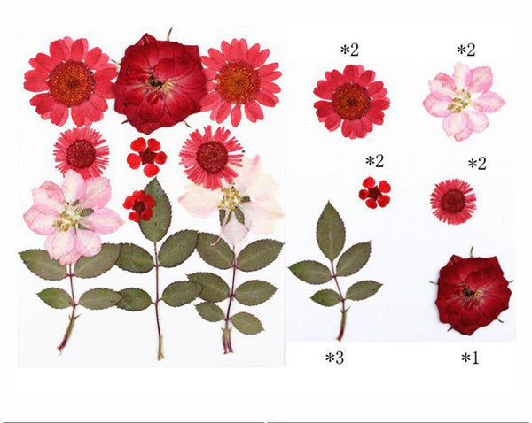 12 In 1 Pressed Flower