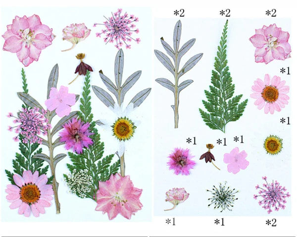 15 IN 1 Pressed Flower