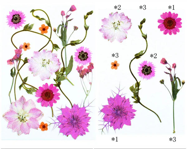 15 IN 1 Pressed Flower