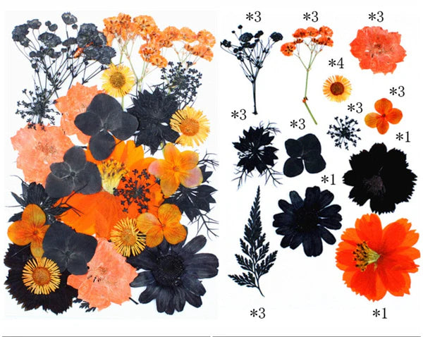 31 IN 1 Pressed Flower