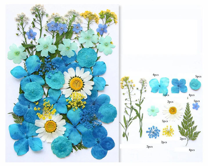 40 In 1 Pressed Flower