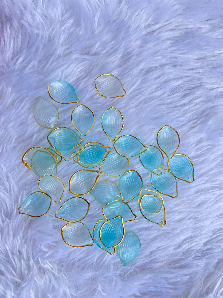 Flower Petal  sky,Blue