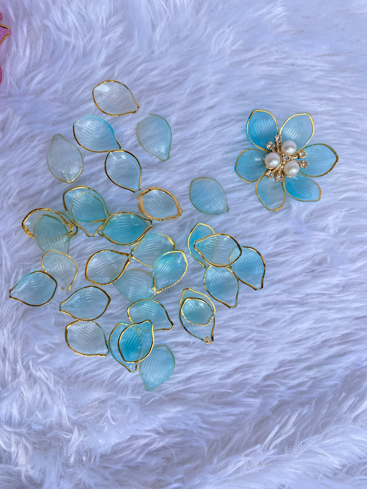 Flower Petal  sky,Blue