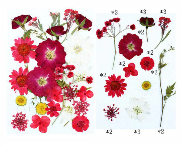 25 In 1 Pressed Flower