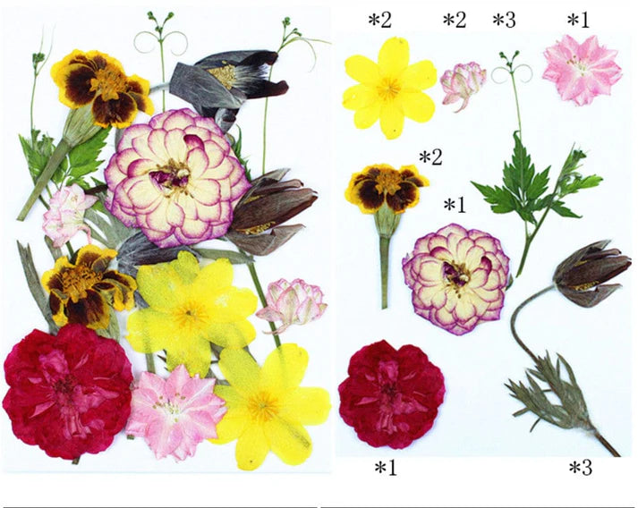 15 In 1 Pressed Flowers Fl188