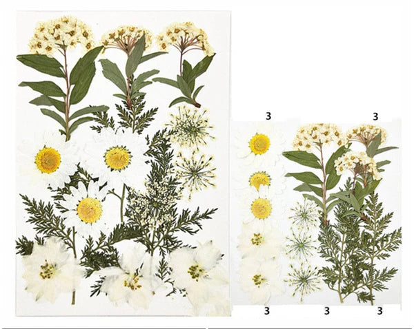 15 In 1 Pressed Flower