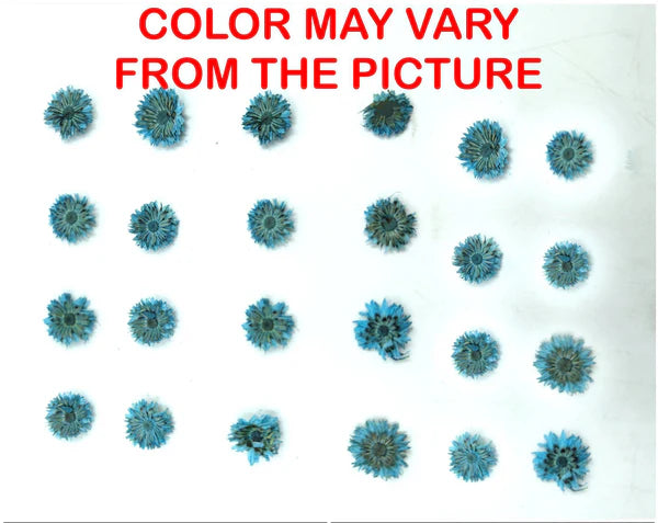 Mini Blue Dried Sun Flower