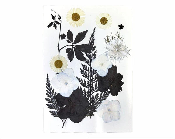 18 In 1 Pressed Flower