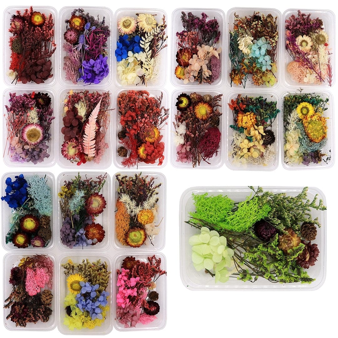 Dry Flowers