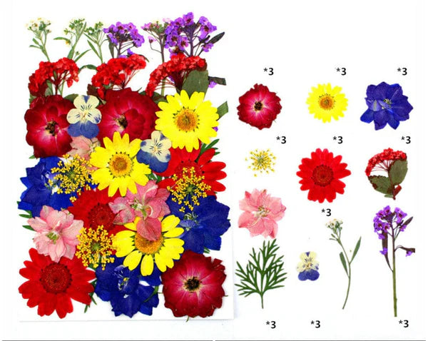 33 In 1 Pressed Flower