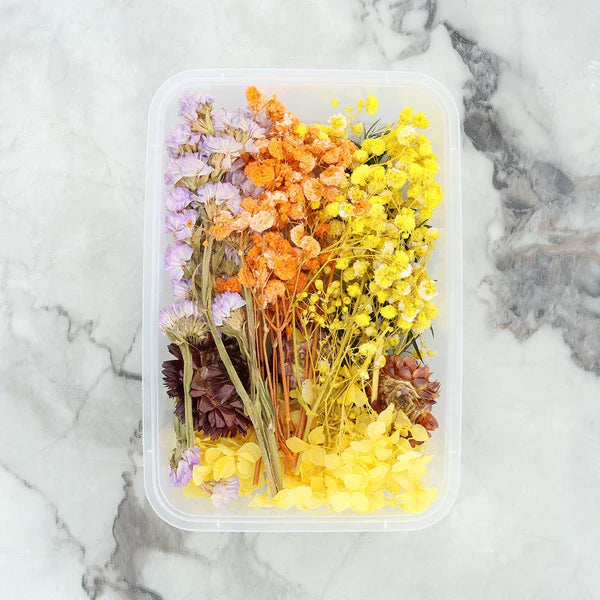 Dry Flower Box - Random Color