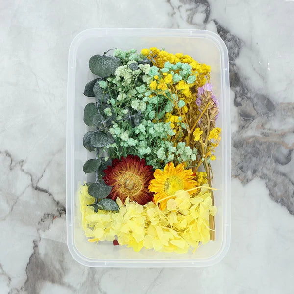 Dry Flower Box - Random Color