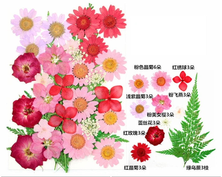 30 In 1 Pressed Flowers Fl097