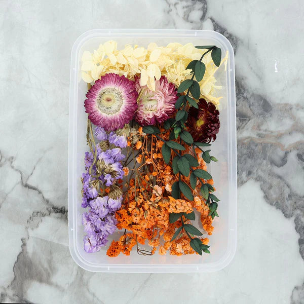 Dry Flower Box - Random Color