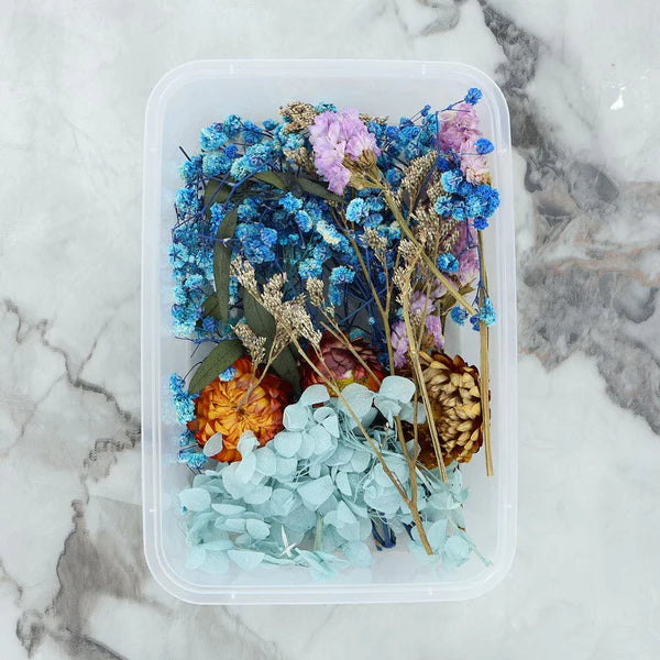 Dry Flower Box - Random Color
