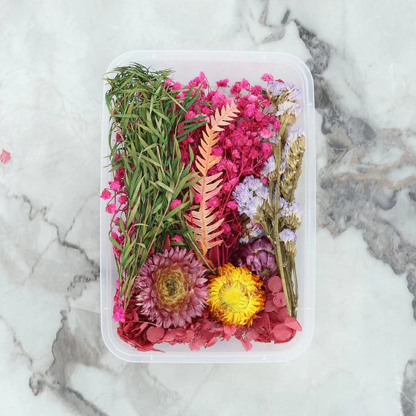 Dry Flower Box - Random Color