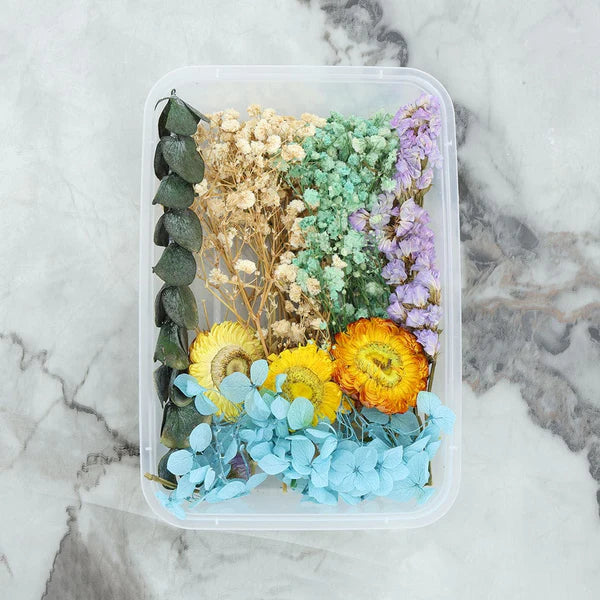 Dry Flower Box - Random Color
