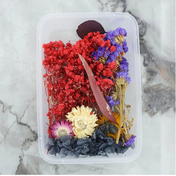 Dry Flower Box - Random Color