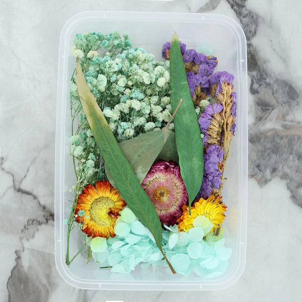 Dry Flower Box - Random Color