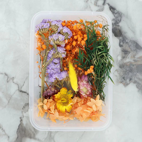 Dry Flower Box - Random Color
