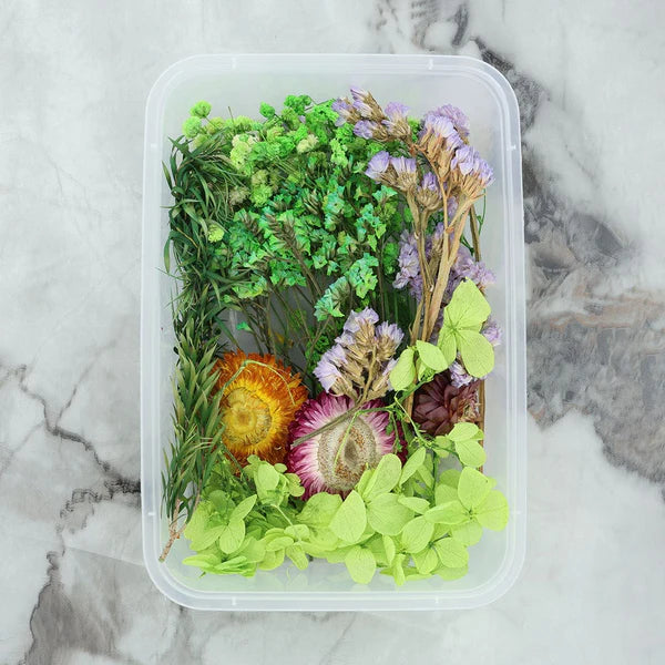 Dry Flower Box - Random Color
