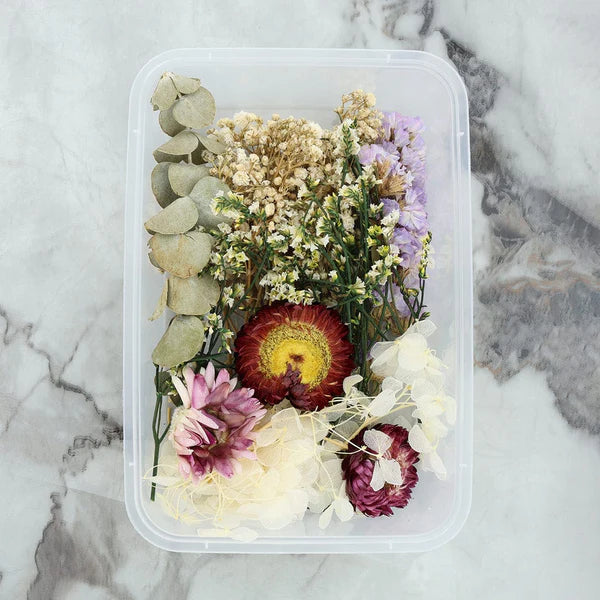 Dry Flower Box - Random Color