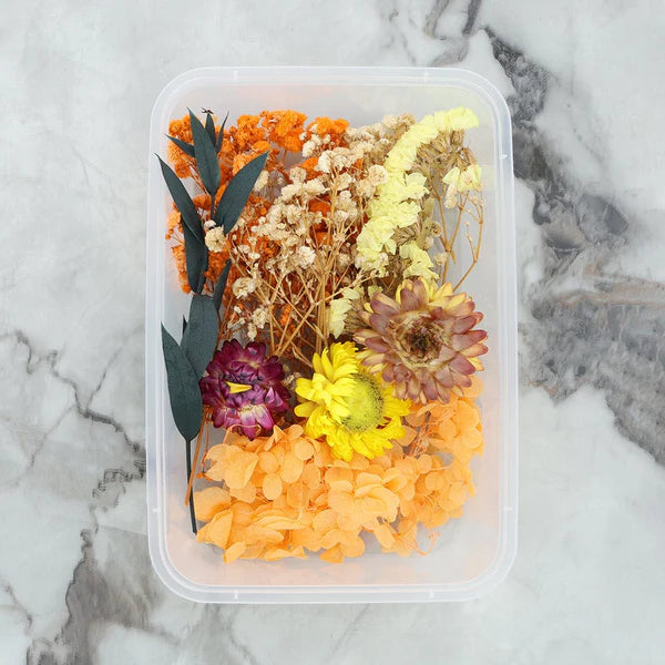 Dry Flower Box - Random Color
