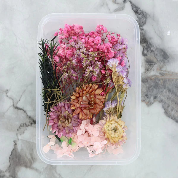 Dry Flower Box - Random Color