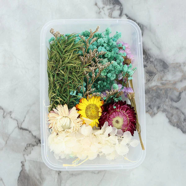 Dry Flower Box - Random Color