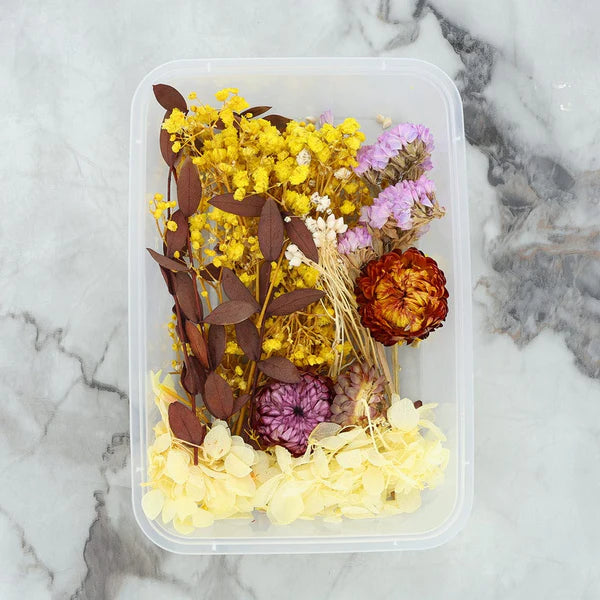 Dry Flower Box - Random Color