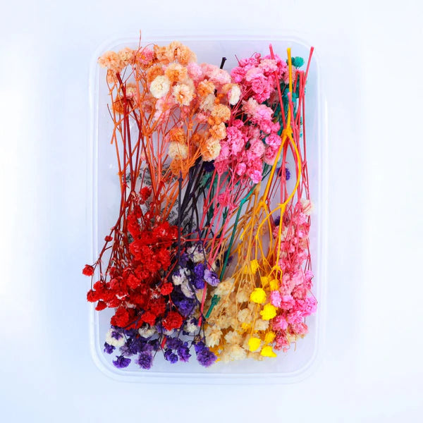 Baby Breath Dry Flower