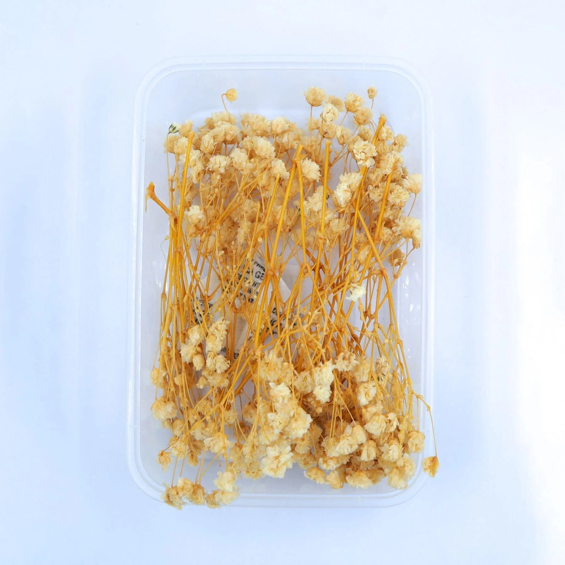 Baby Breath Dry Flower