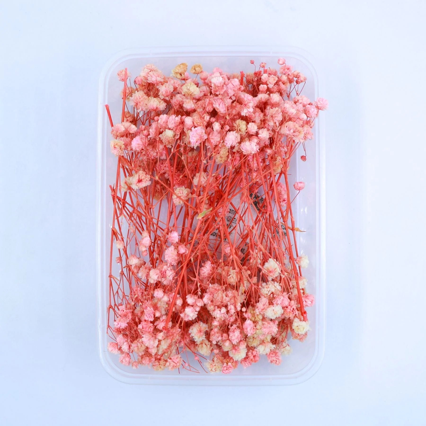 Baby Breath Dry Flower