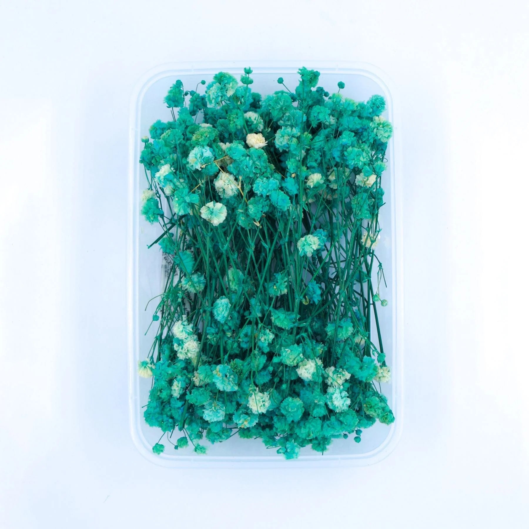 Baby Breath Dry Flower