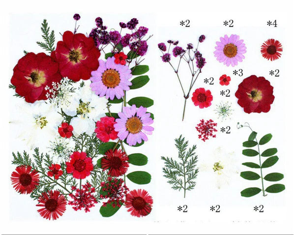 25 In 1 Pressed Flower